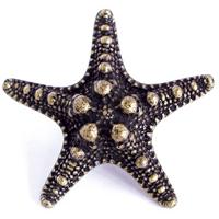 Emenee OR421-ABS Premier Collection Sea Star 2-1/4 inch in Antique Bright Silver Sea Life Series